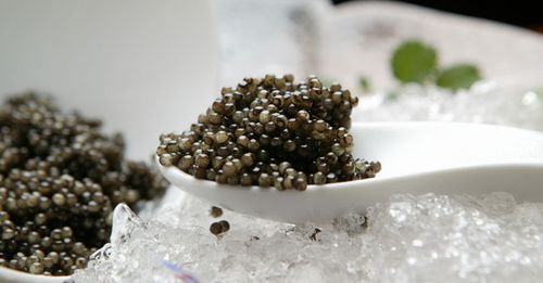 Saké et Caviar