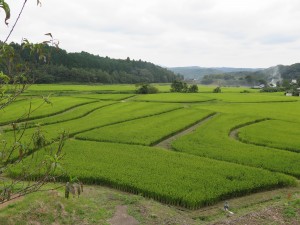 IMG_0164